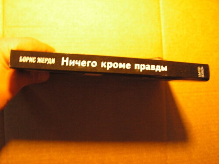 Жердин Б. Ничего, кроме правды