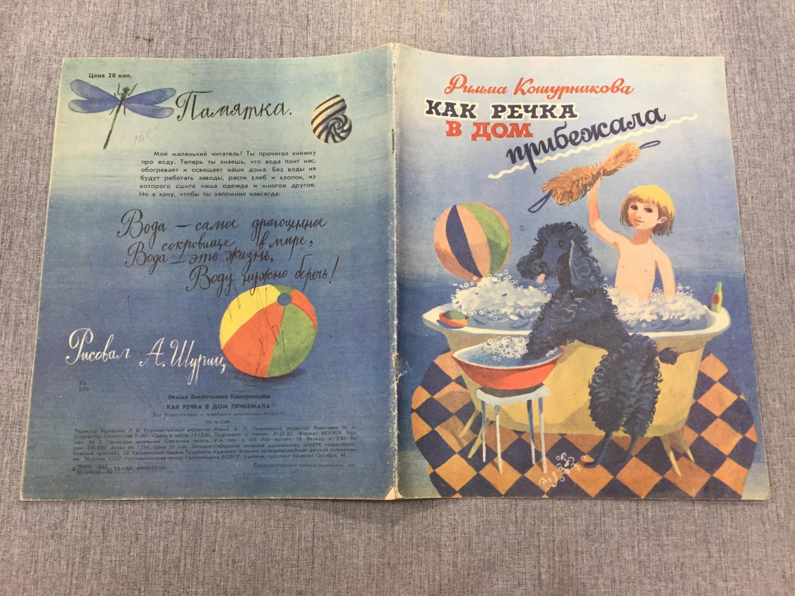 Кошурникова Р. Как речка в дом прибежала.