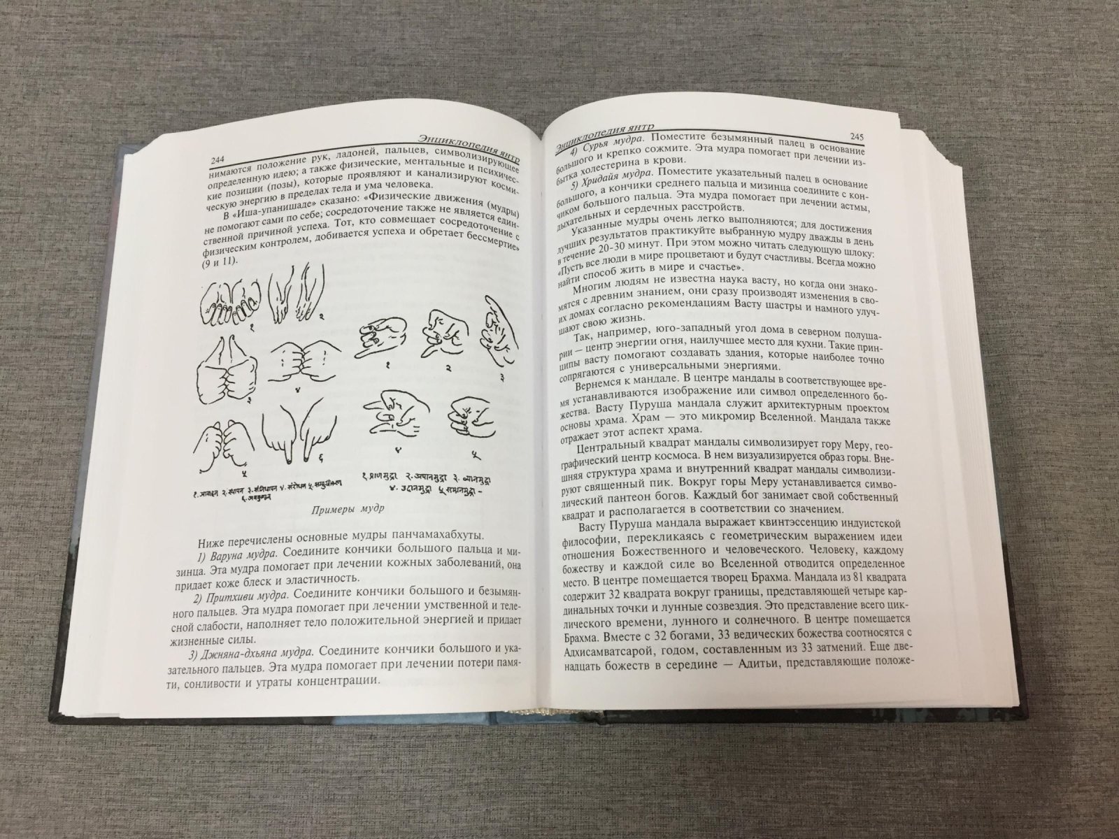 Неаполитанский С., Матвеев С. Энциклопедия янтр.