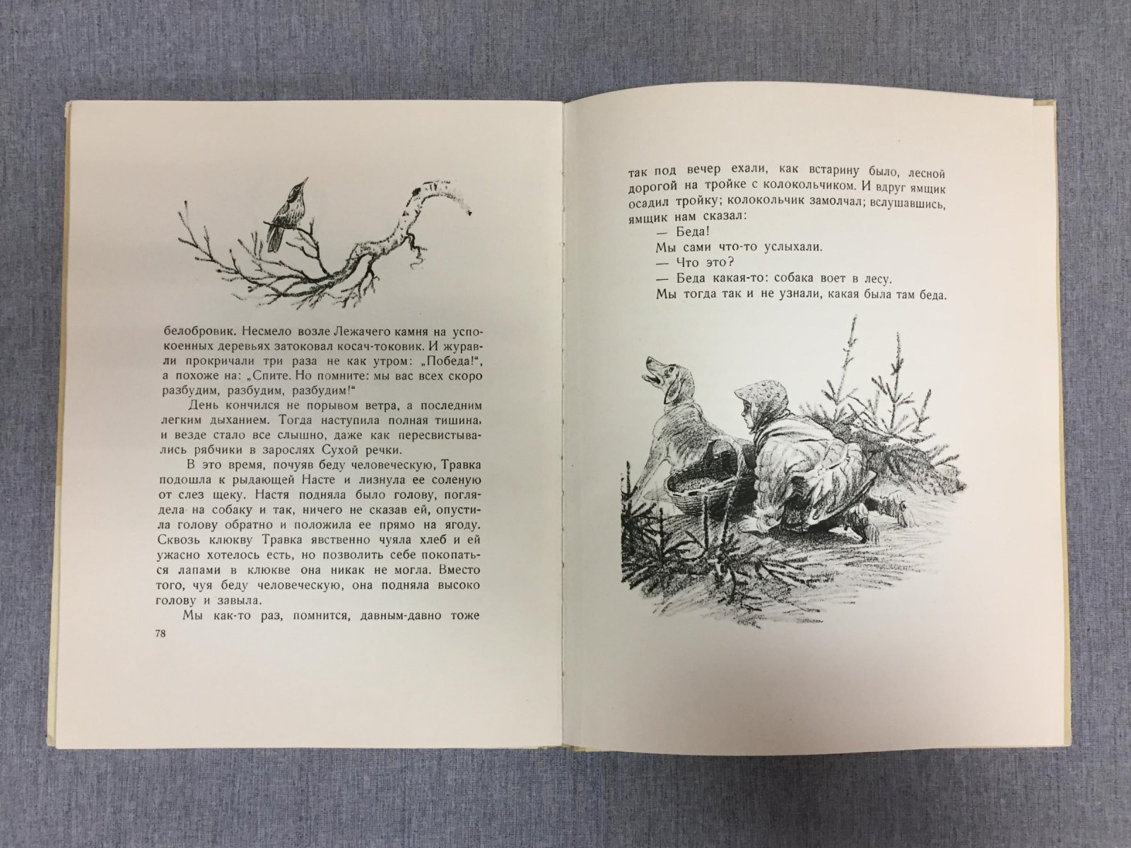 Пришвин  Михаил. Кладовая солнца. (Сказка-быль). Рисунки Е.Рачева