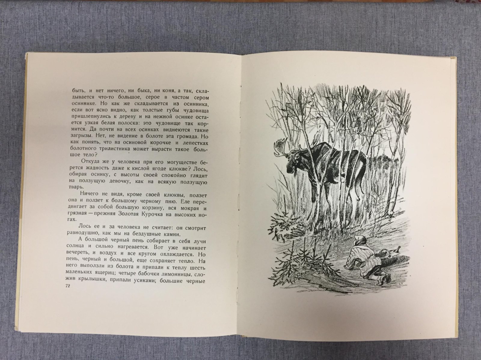 Пришвин  Михаил. Кладовая солнца. (Сказка-быль). Рисунки Е.Рачева