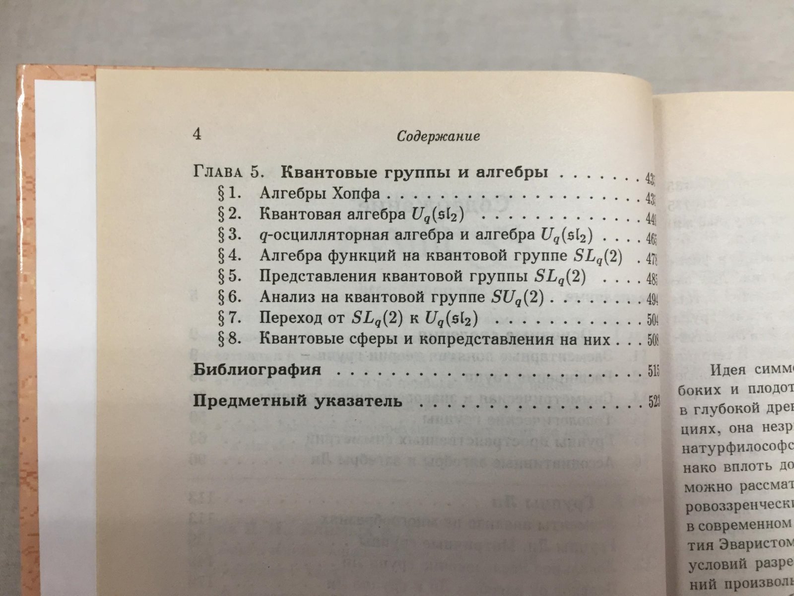 Голод П., Климык А. Математические основы теории симметрий.