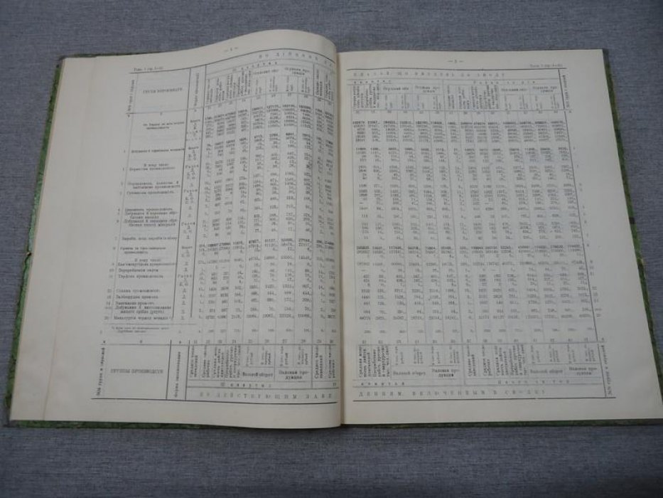 Цензовая промышленность Украины. 1923-1924 гг.
