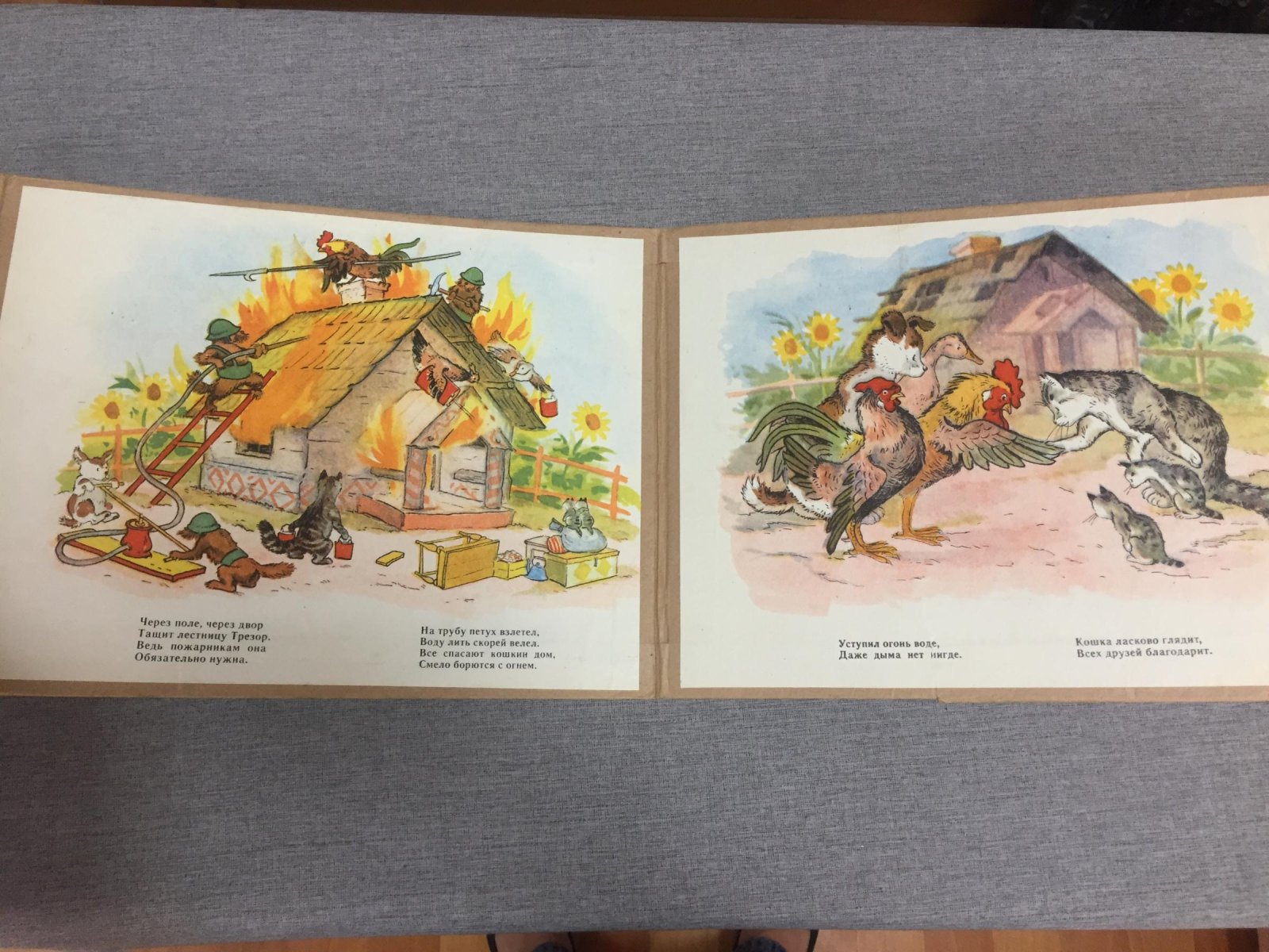 Волынский Т. Кошкин дом. Книжка-раскладушка (на картоне).