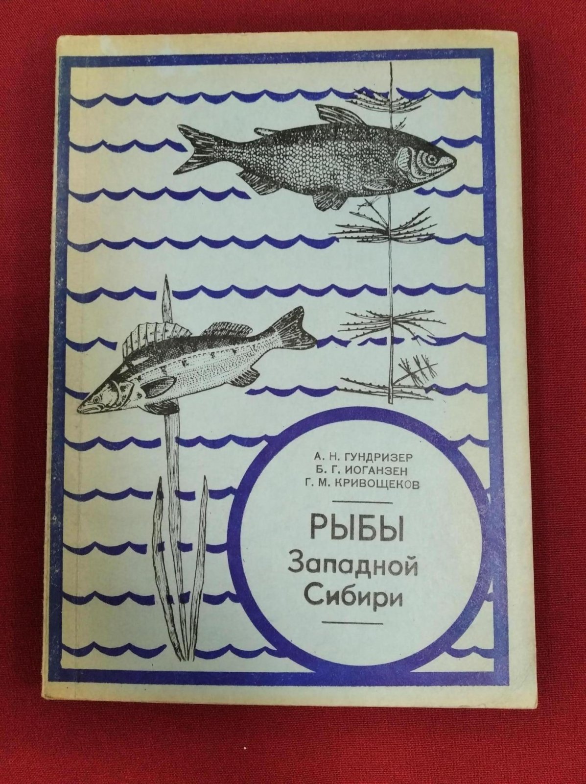 Гундризер А.Н., Иоганзен Б.Г., Кривощеков Г.М. Рыбы Западной Сибири. Учебное пособие. Автограф одного из авторов (Кривощеков Г.М.)