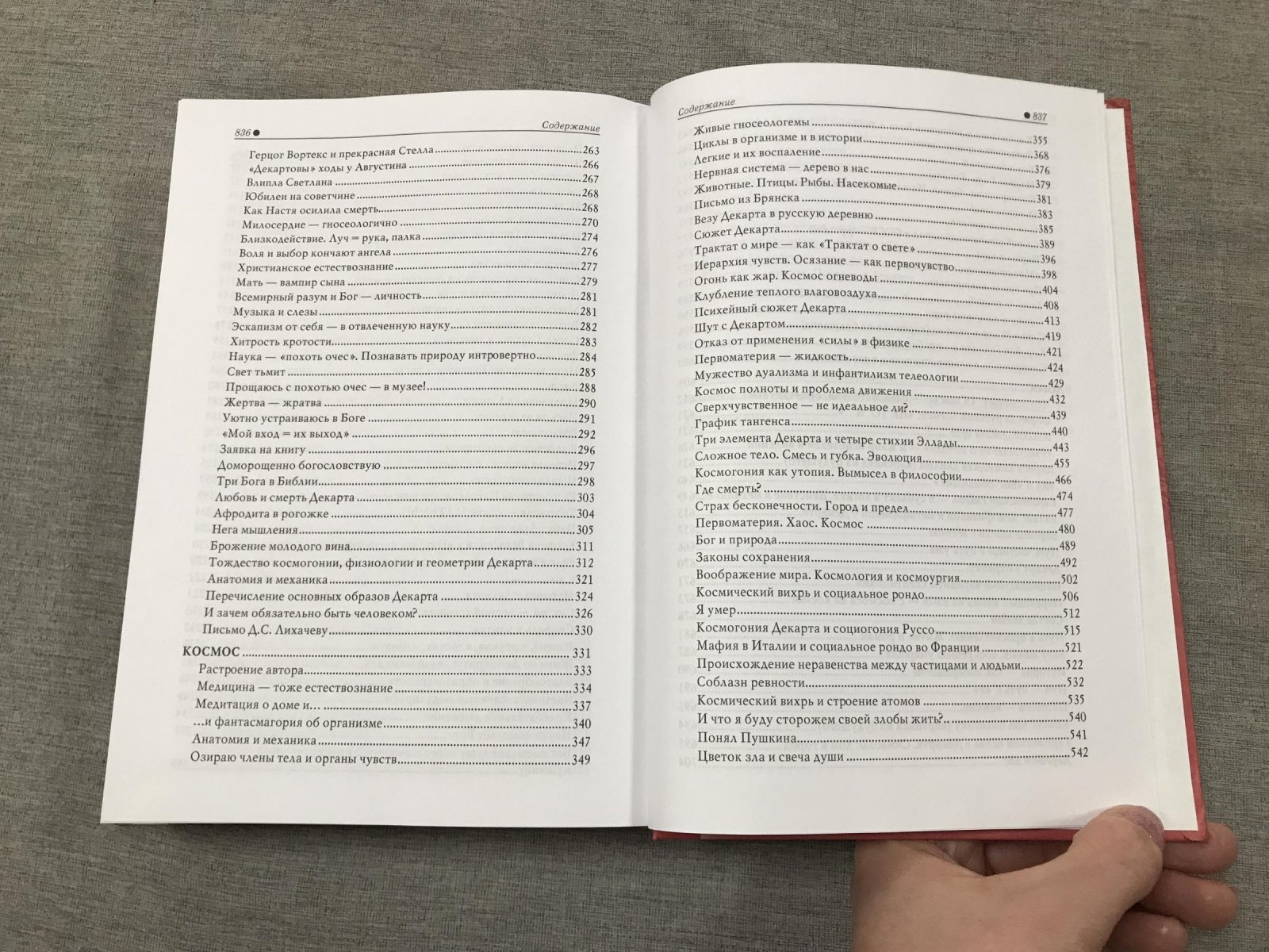 Гачев Георгий. Французский образ мира. Зимой с Декартом (роман мышления)