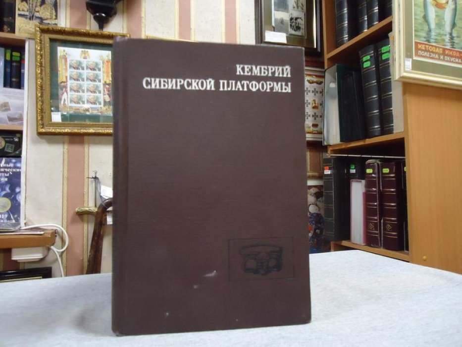 Кембрий Сибирской платформы (Юдомо-Оленекский тип разреза. Куонамский комплекс отложений.)