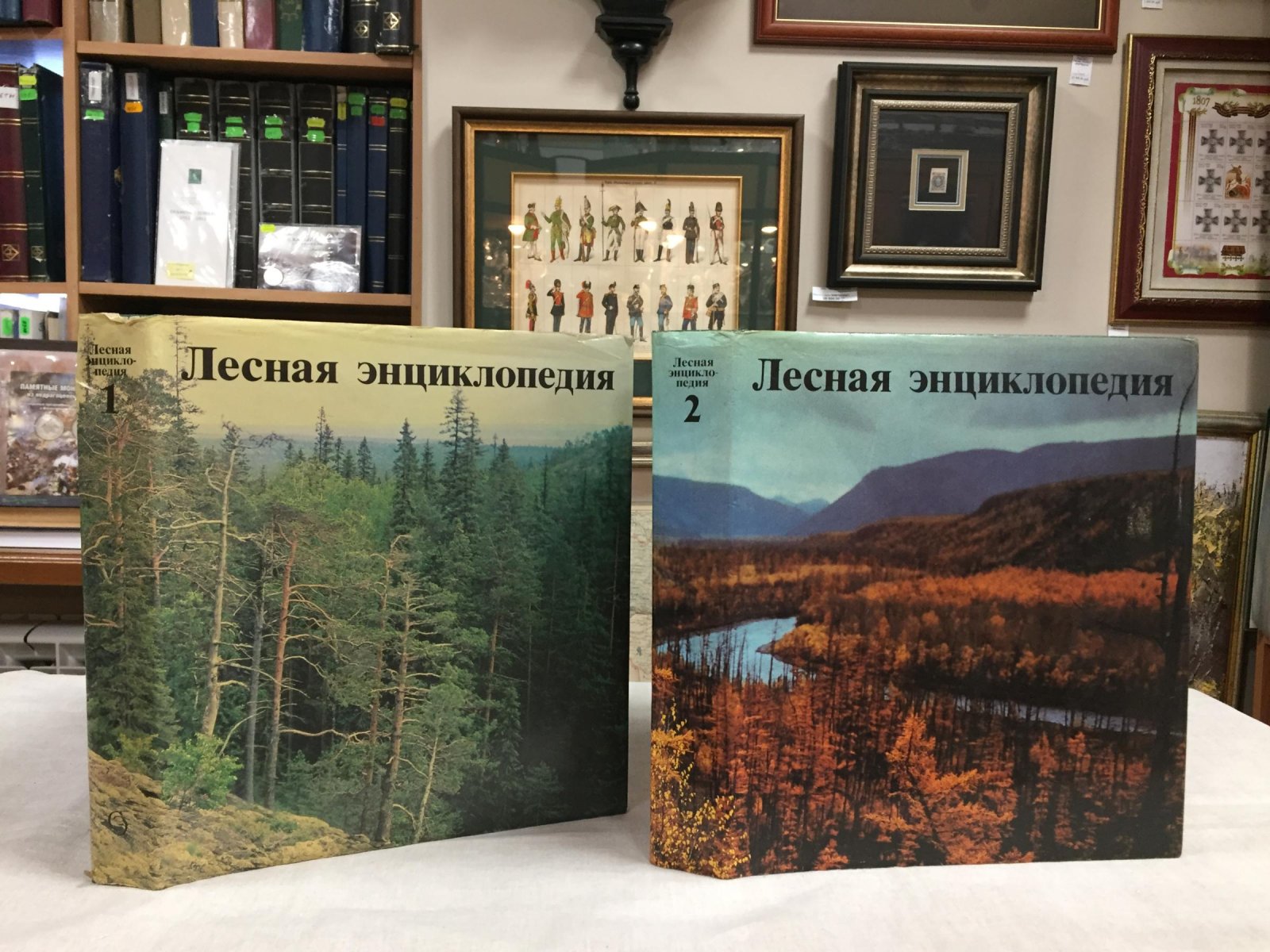 Лесная энциклопедия. В 2-х томах.