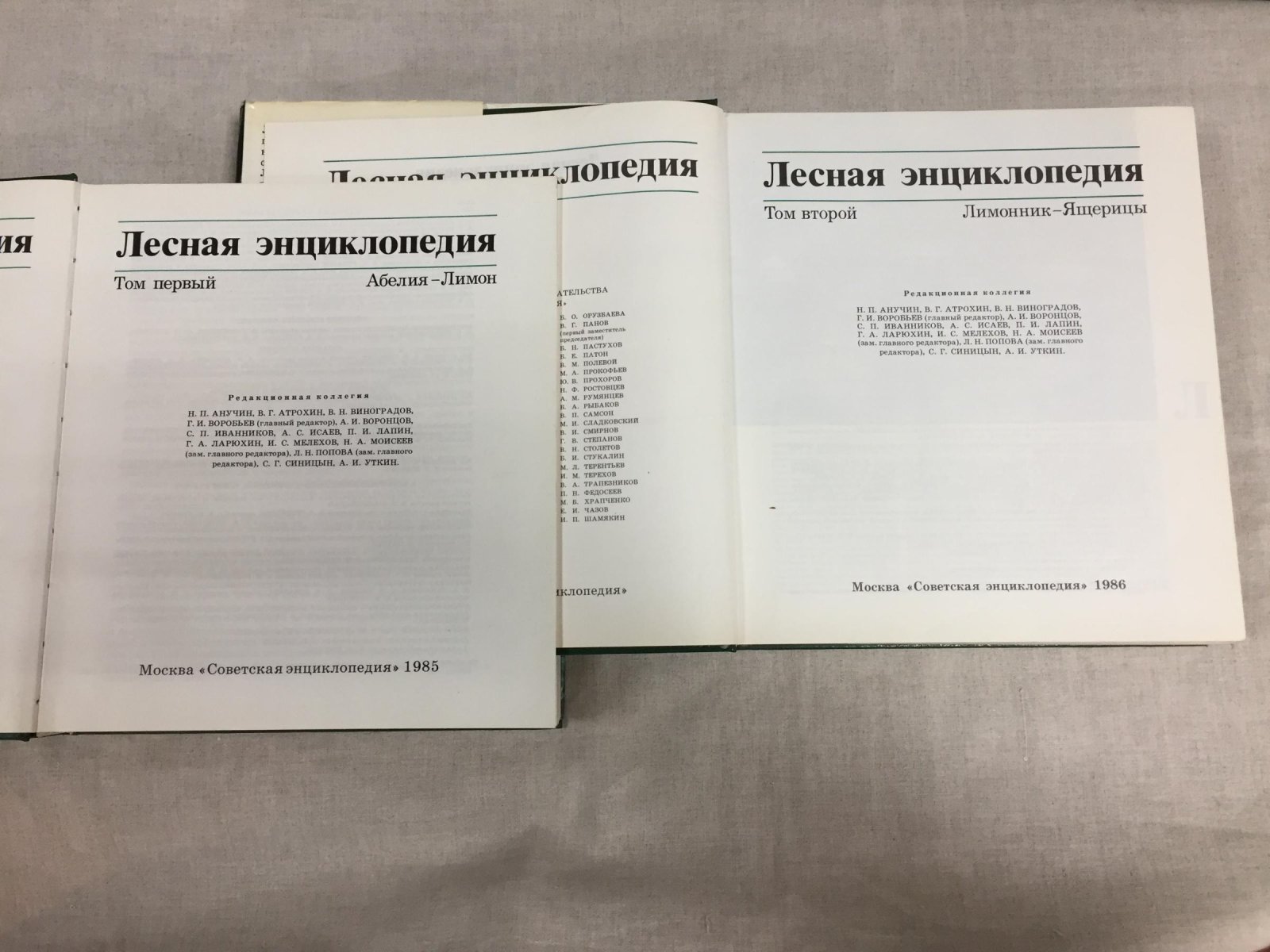 Лесная энциклопедия. В 2-х томах.