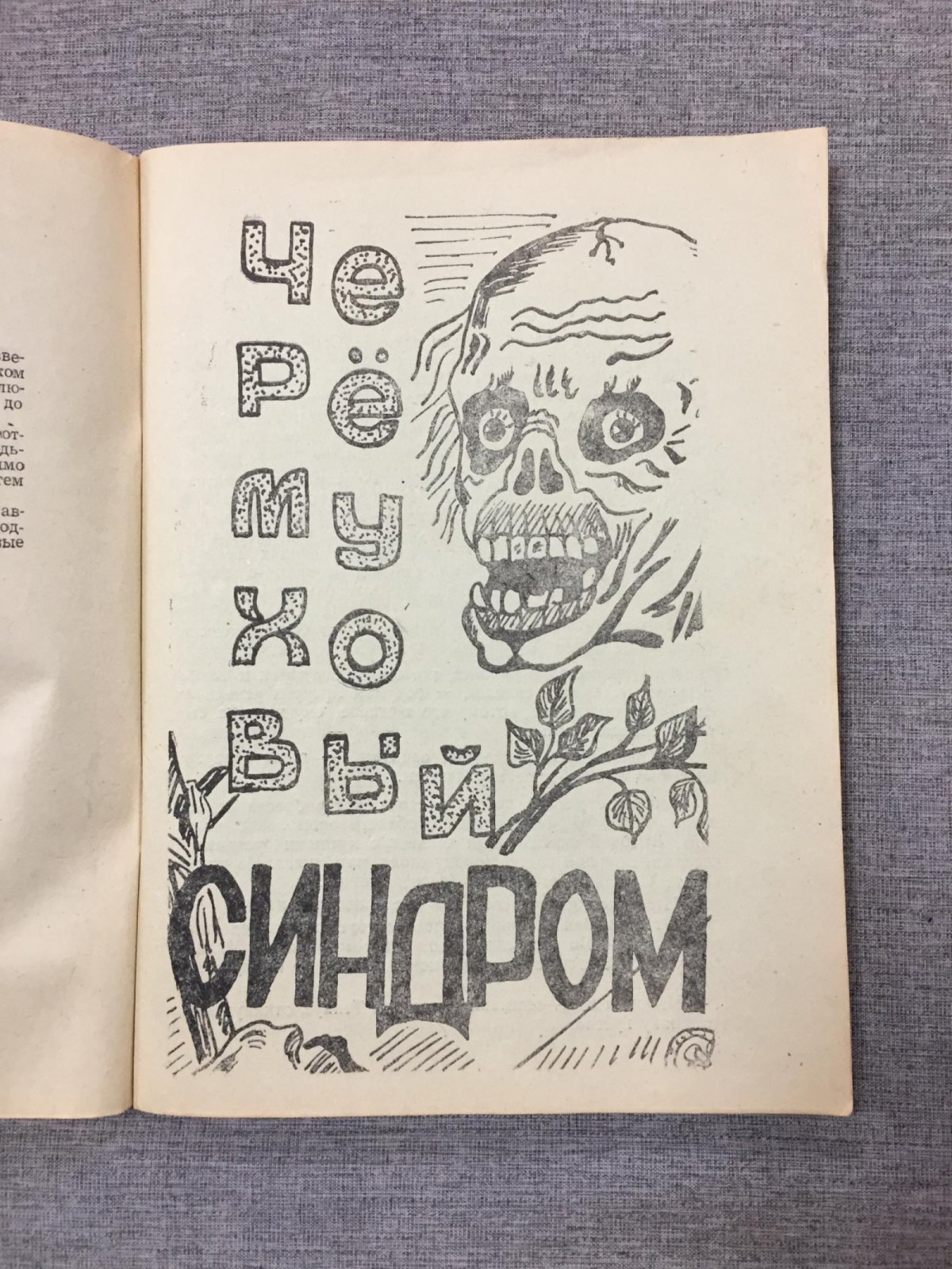 Михасенок (Михасенок), Сестры.Галина и Тамара Его величество случай. Иллюстрации авторов.