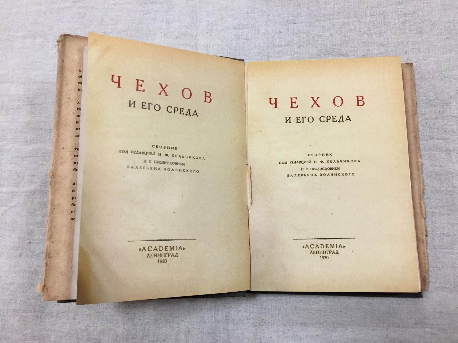 Чехов и его среда.