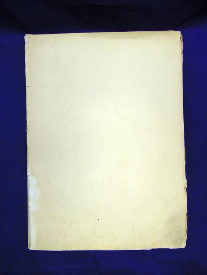 Столпянский П.Н. Дом княгини М.А.Шаховской, Фонтанка, 27.