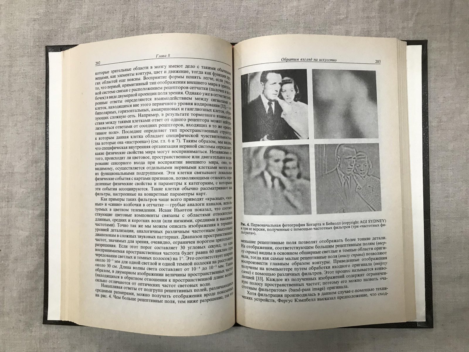 Красота и мозг. Биологические аспекты эстетики. Под редакцией И. Ренчлера, Б. Херцбергер, Д. Эпстайна.