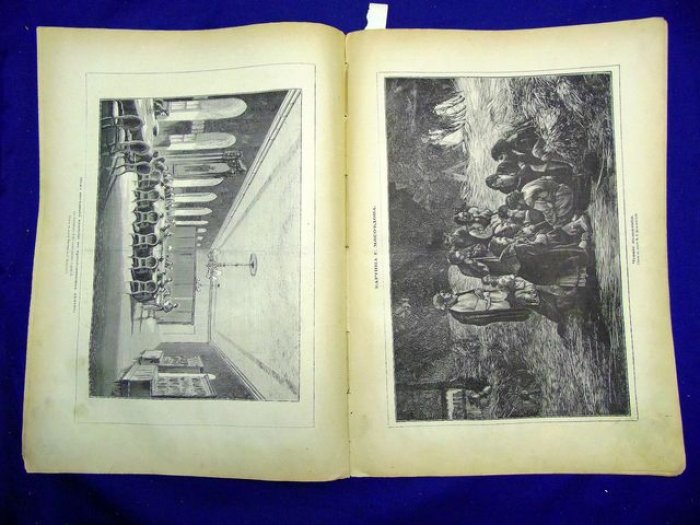Живописное обозрение № 8 февраль 1880 г.