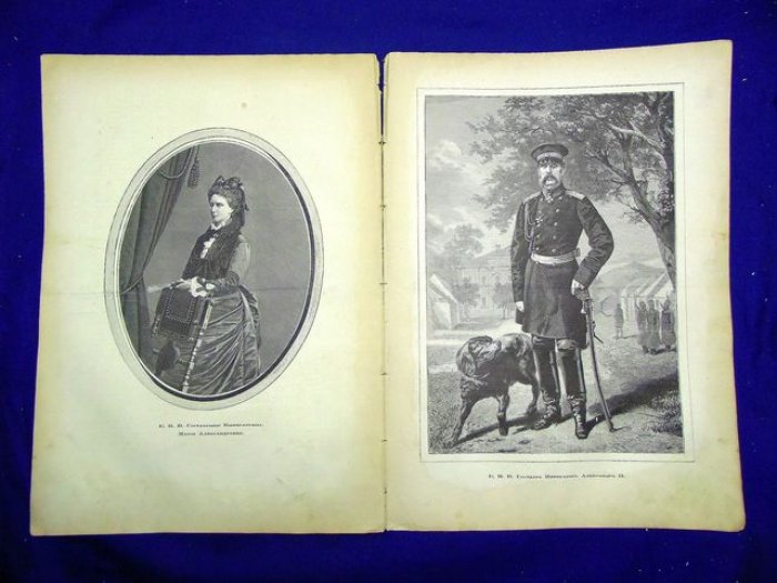Живописное обозрение № 8 февраль 1880 г.