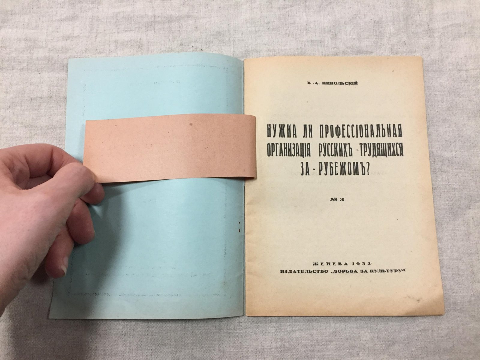 Никольский В.А. Нужна ли профессиональная организация русских трудящихся за рубежом?