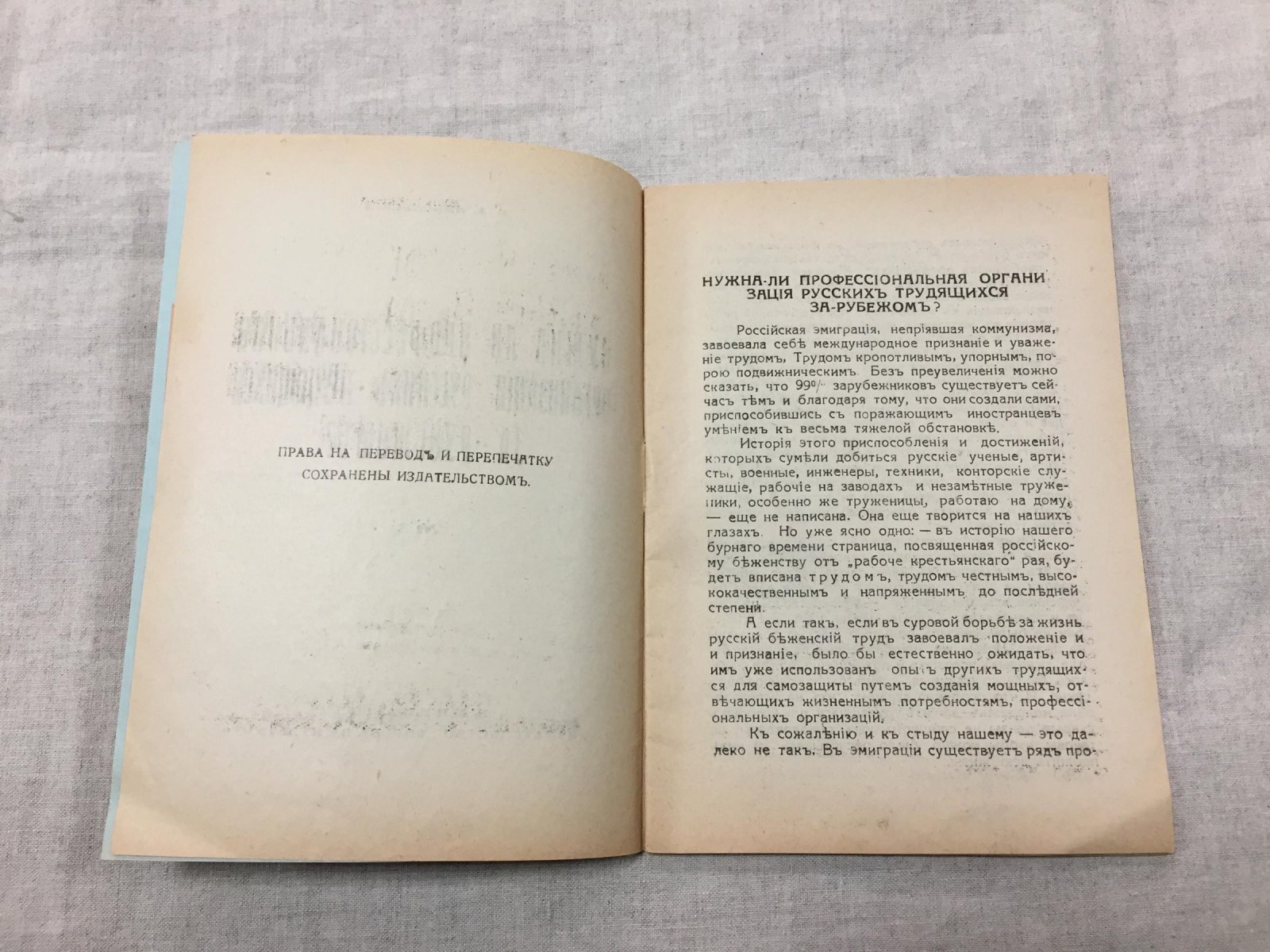 Никольский В.А. Нужна ли профессиональная организация русских трудящихся за рубежом?