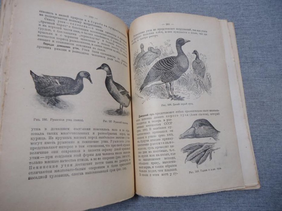 Яхонтов А. А. Мир животных. Учебная книга по зоологии. Часть первая. Изд. 3-е, испр.