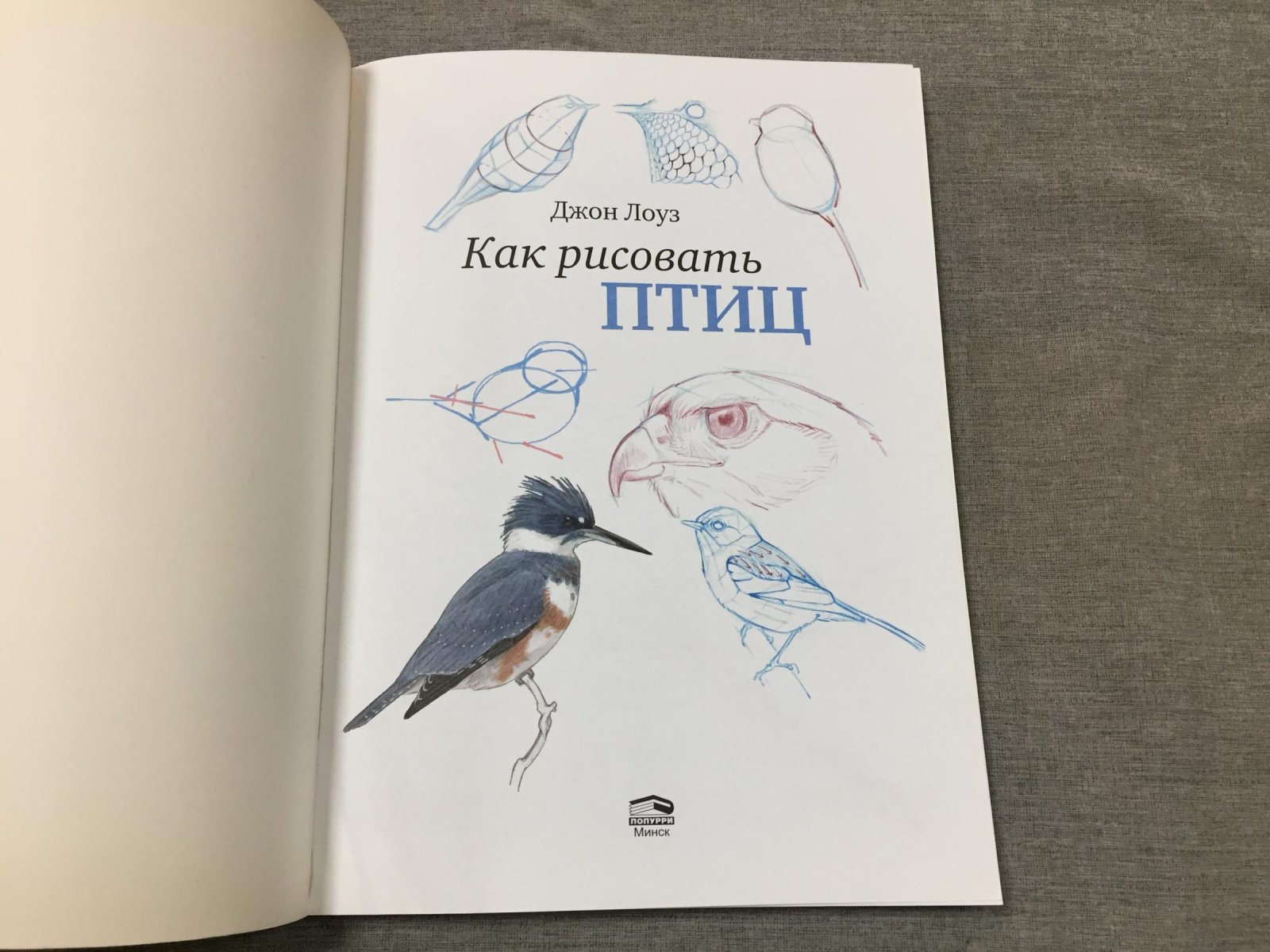 Лоуз Джон. Как рисовать птиц.