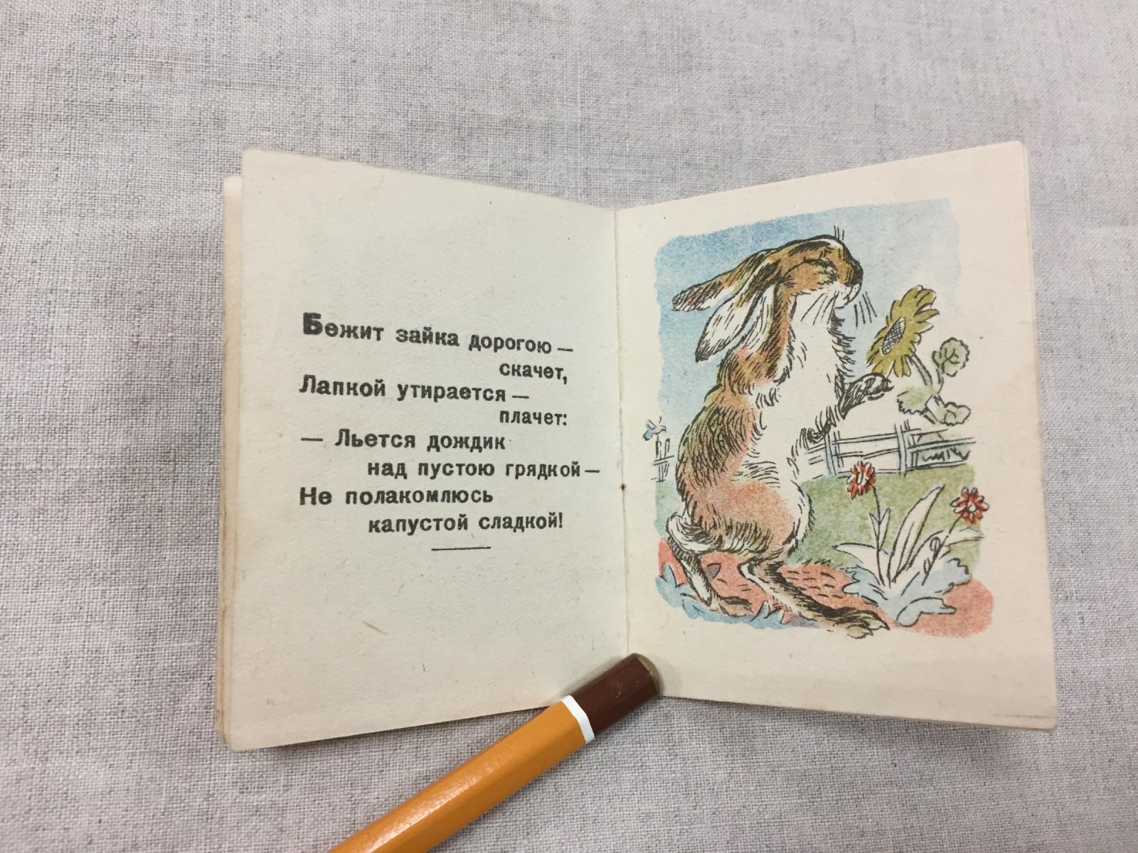 Котик серый. Украинские народные песенки. Перевод Елены Благининой
