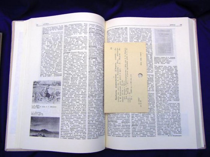 Шевченкiвський словник (Шевченковский словарь). В 2-х томах.