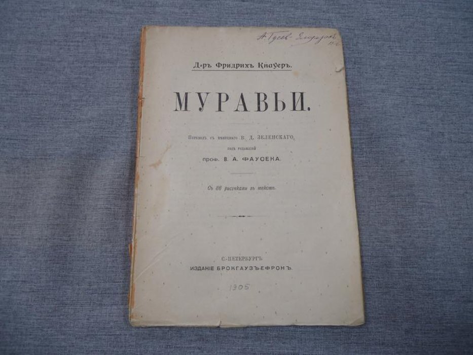 Кнауер Ф., д-р. Муравьи.