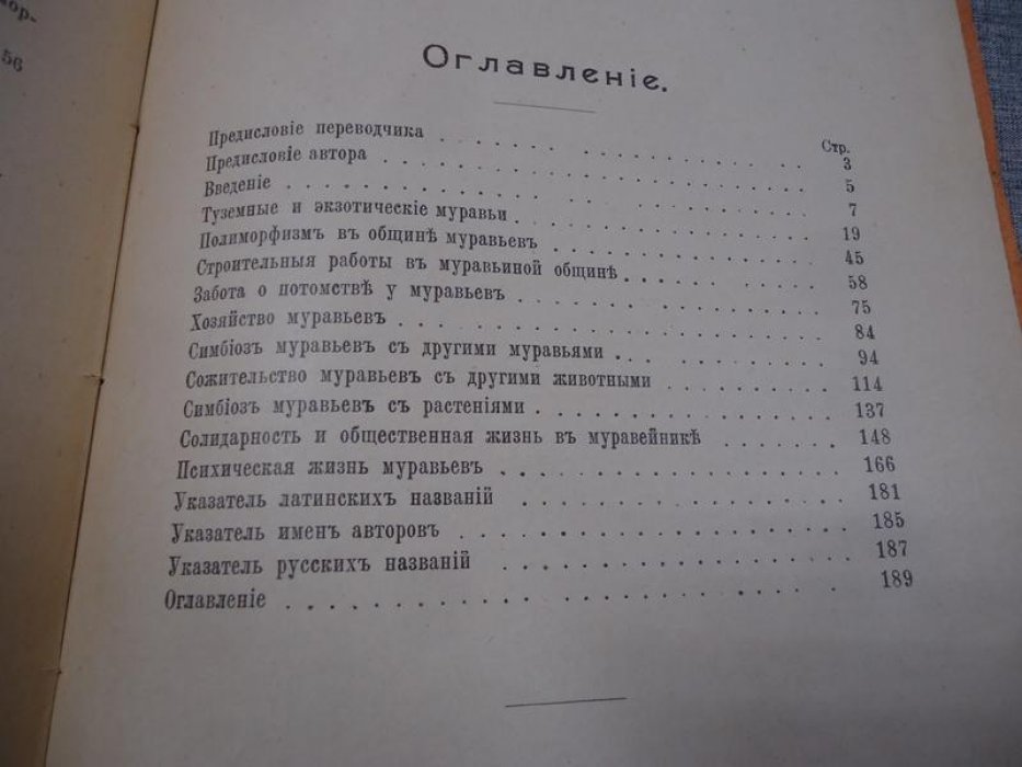 Кнауер Ф., д-р. Муравьи.