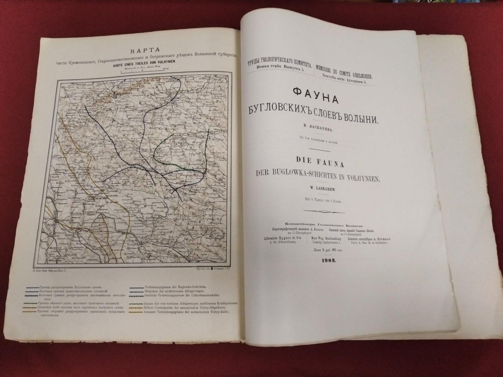 Ласкарев В. Фауна Бугловских слоев Волыни. С 5-ю таблицами и картой.