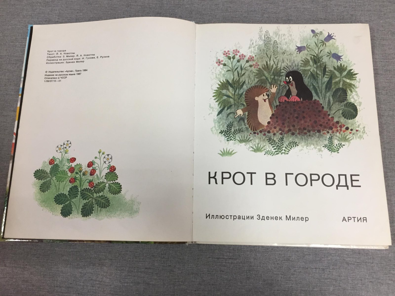 Новотны Й.А. Крот в городе.
