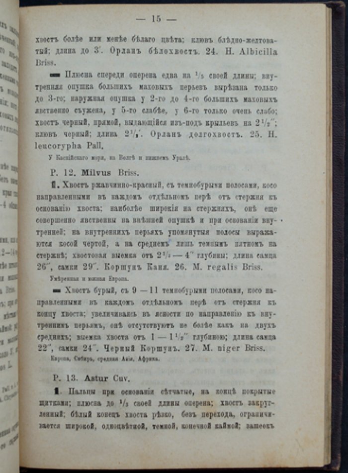 Определитель птиц Европейской России (по Кейзерлингу и Блазиусу)
