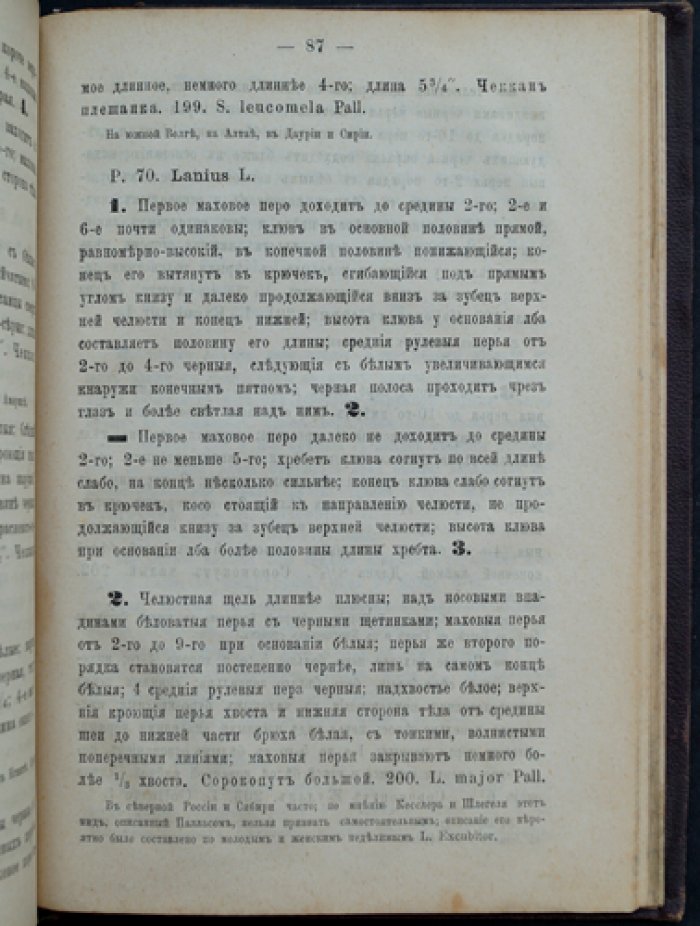 Определитель птиц Европейской России (по Кейзерлингу и Блазиусу)