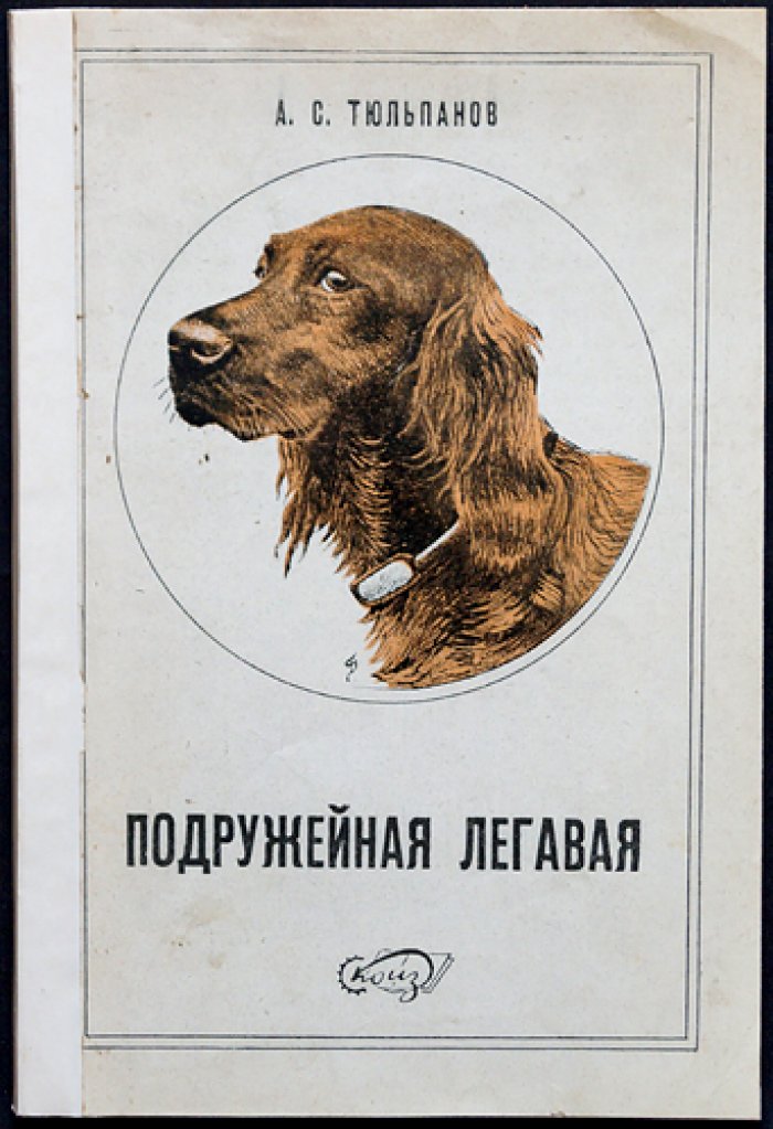Подружейная легавая: выбор собаки, содержание и натаска