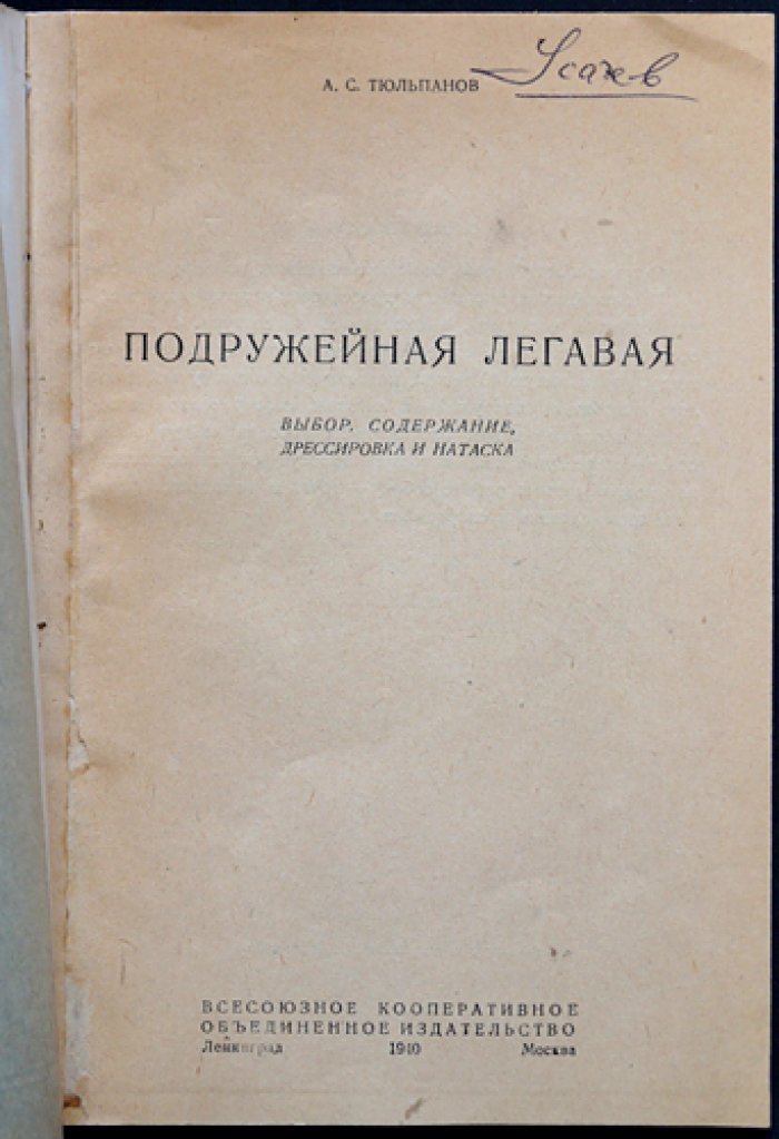 Подружейная легавая: выбор собаки, содержание и натаска