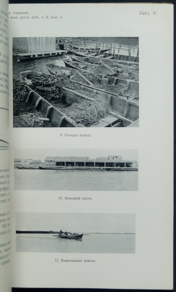 Материалы к познанию русского рыболовства. 1913. Том II, выпуск 4 (с приложениями таблиц)