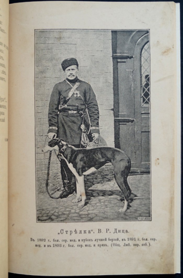Природа и охота. Май, №5 (за 1893 год) — иллюстрированный охотничий журнал
