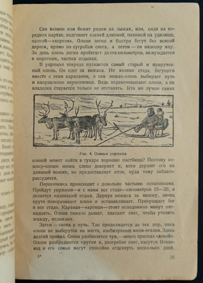 Валюсинский В. Северный олень (охотничьи записки и северный рассказ)