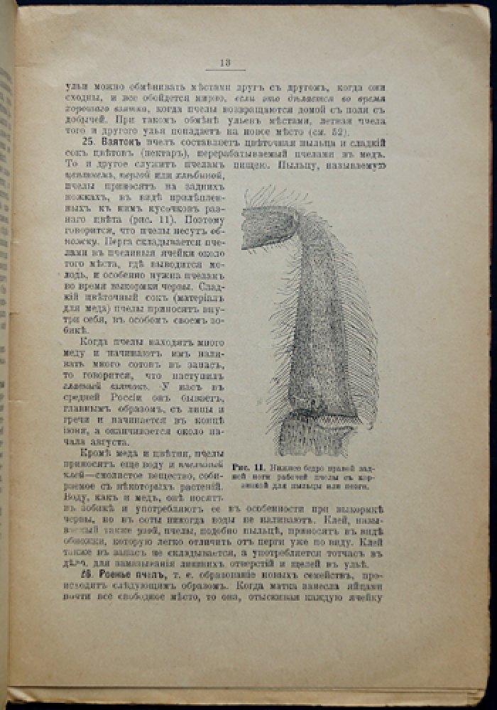 Как водить пчел: рациональное пчеловодство (9-е издание)
