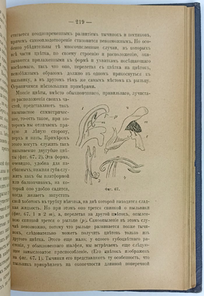 Тимирязев. Жизнь растения: десять общедоступных чтений (3-е изд., исправл. и доп.)