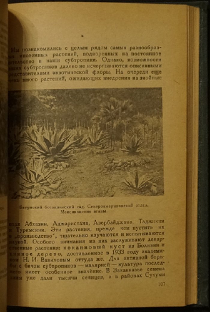 Советские субтропики. Обзор районов, природы и хозяйственного освоения СССР (1937)