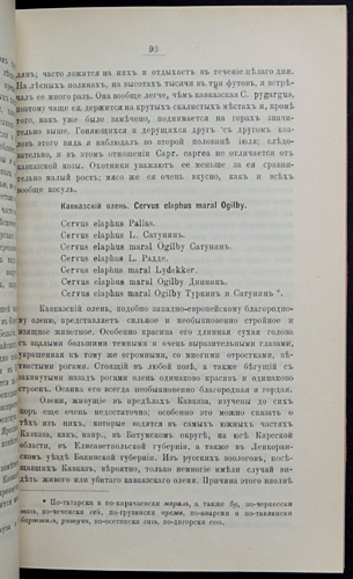Звери Кавказа. Часть I: Китообразные и копытные (Кавказский отдел ИРГО)