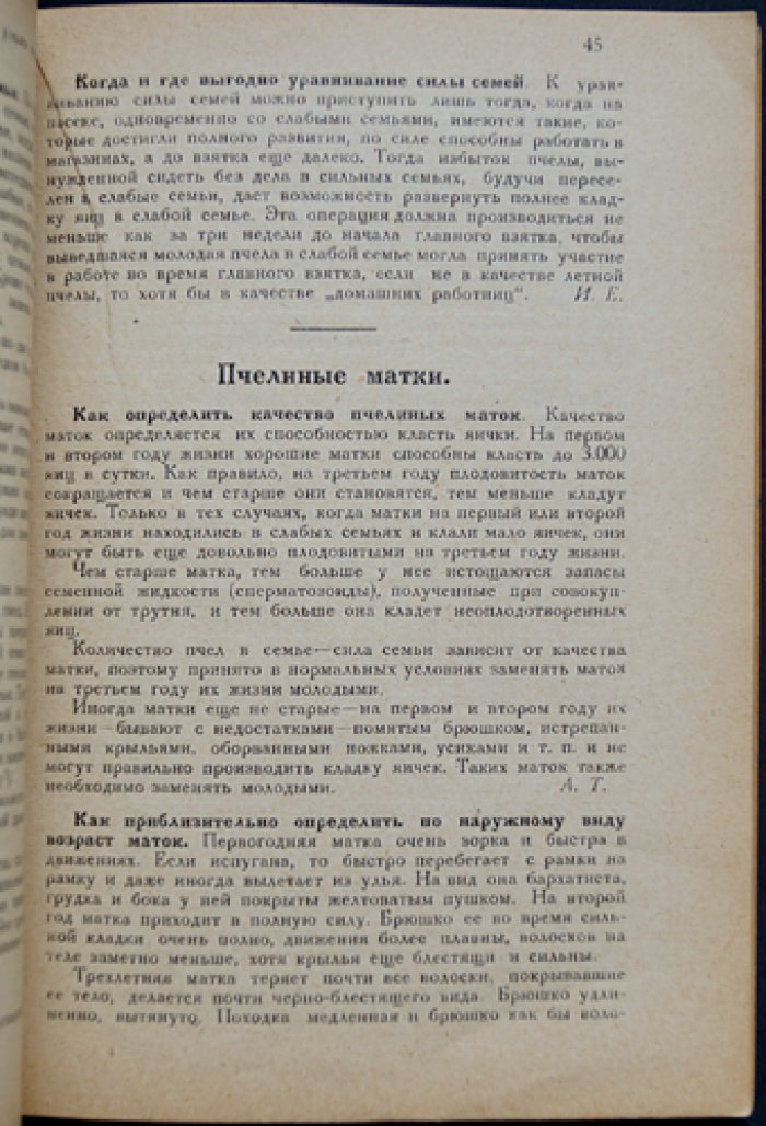 Спутник пчеловода-практика: пасечная рецептура и практические советы (1929)