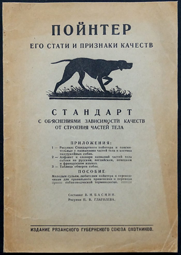 Пойнтер: его стати, признаки и качества. Руководство для молодых охотников и собаководов