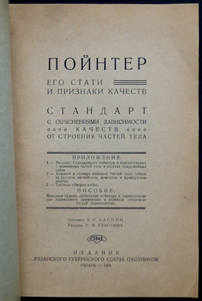 Пойнтер: его стати, признаки и качества. Руководство для молодых охотников и собаководов