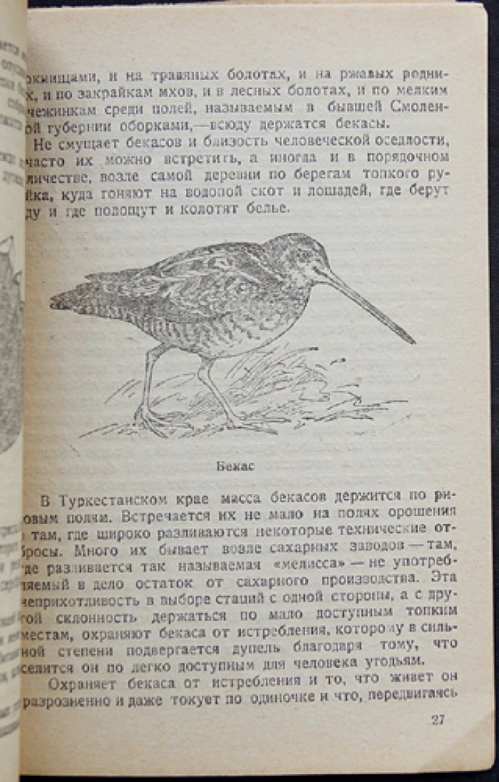 Охота на болотную дичь: дупель, бекас, гаршнеп и перепел (практическое руководство для охотников-любителей)