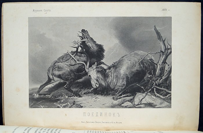 Журнал охоты. 1876 год, № 5 (Май). Императорское Общество охоты