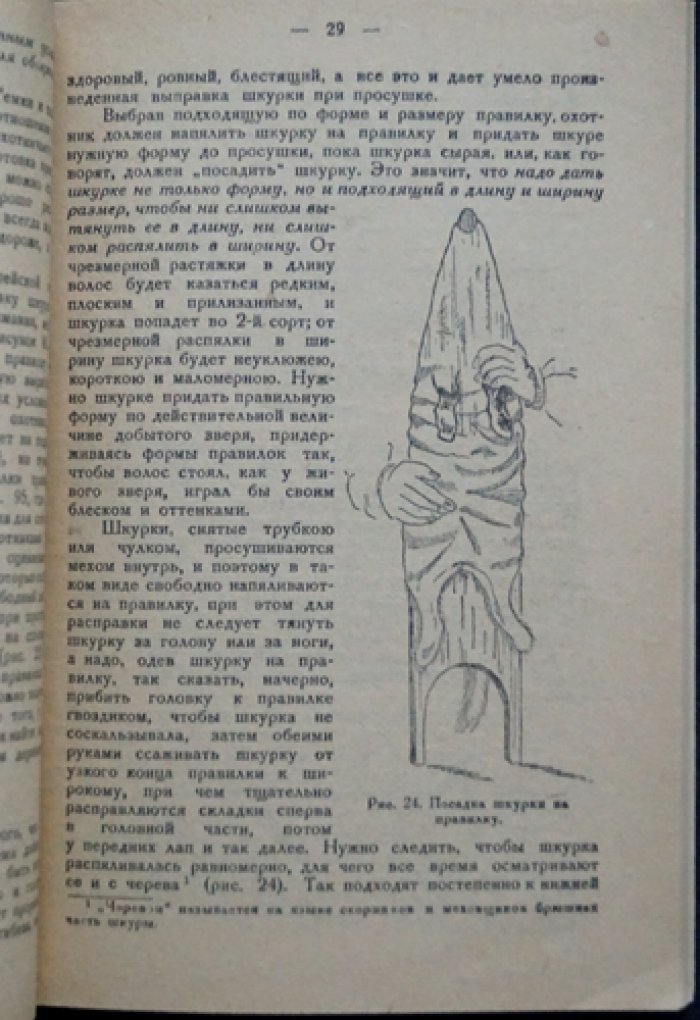 Как снимать и выправлять пушные шкурки: практическое руководство по выделке овчины, кролика и нутрии