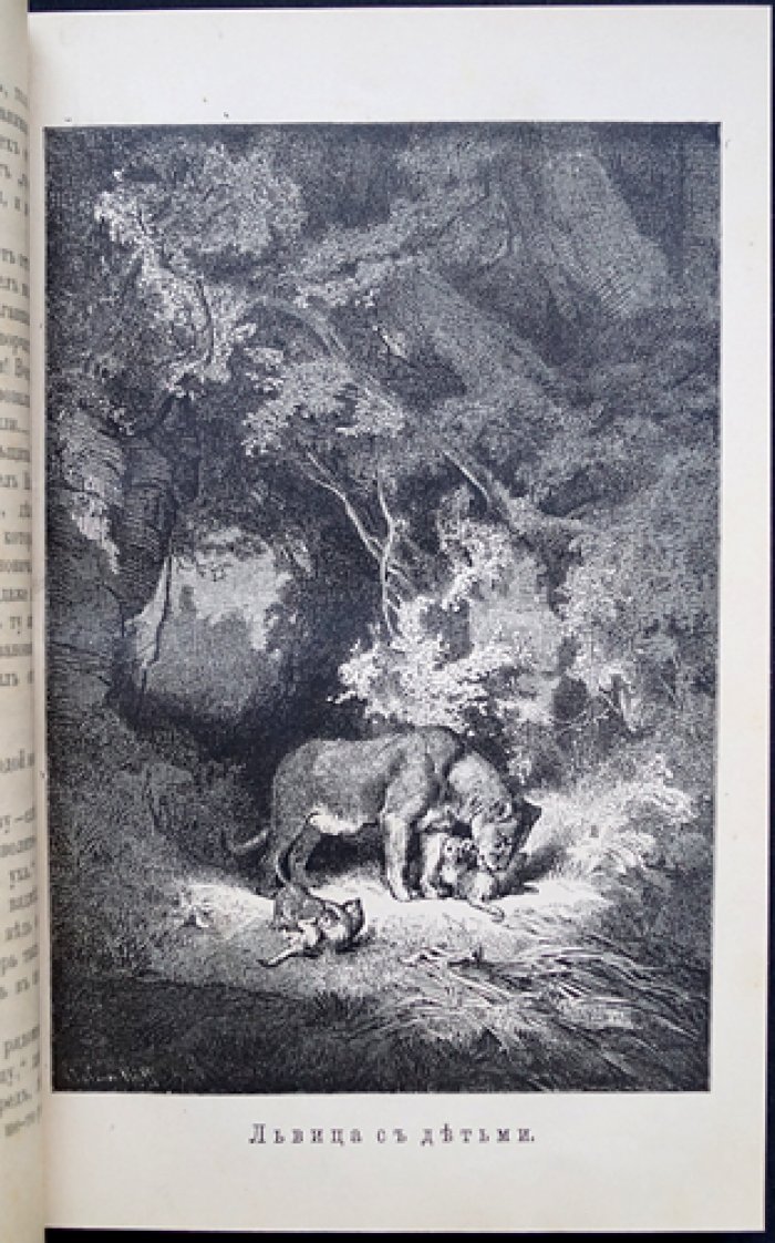 Природа и охота. Иллюстрированный журнал, 1892, № 2 (февраль)