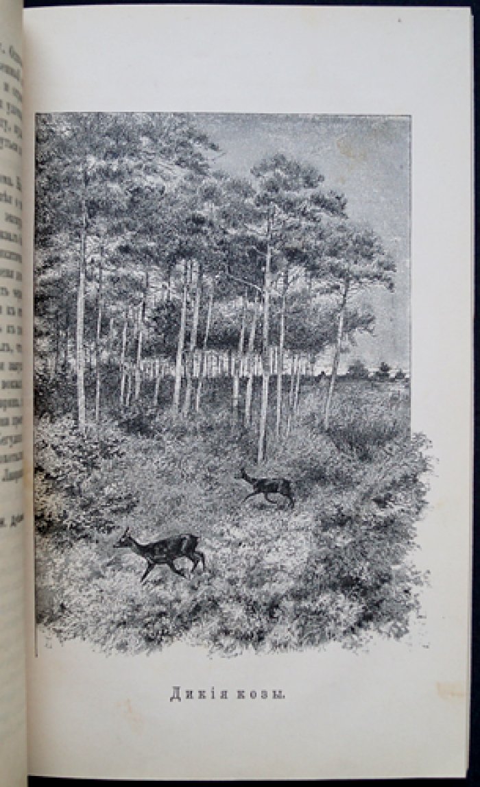 Природа и охота. Иллюстрированный журнал, 1892, № 2 (февраль)