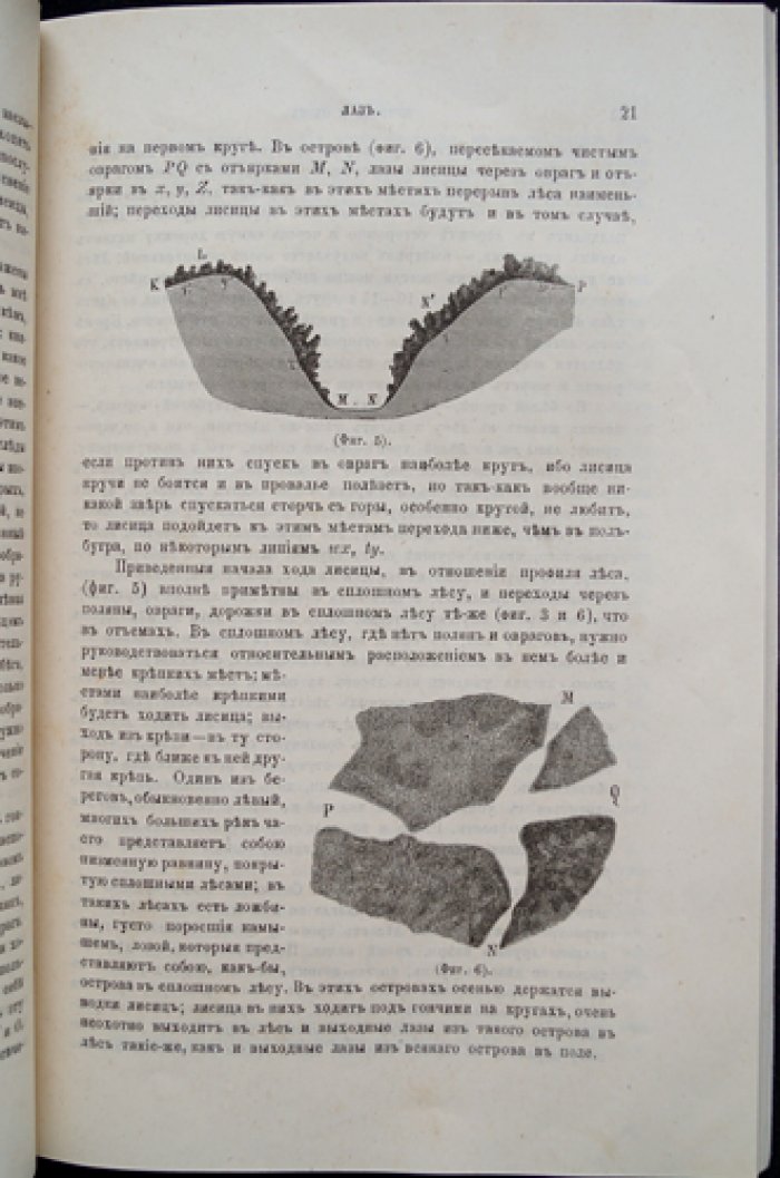 «Природа и охота». Ежемесячный иллюстрированный журнал, 1888, № 3 (Март)