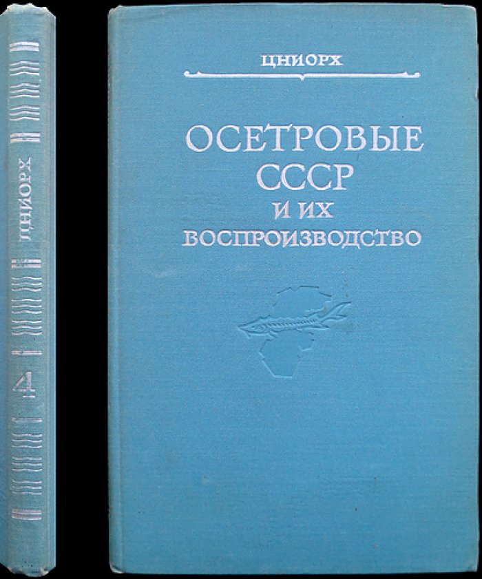 Осетровые СССР и их воспроизводство: влияние промысла, сохранение запасов и мероприятия по повышению численности